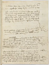 Fuglers flykode, c. 1505-06, papirmanuskript, cc. 18, ark 10 recto